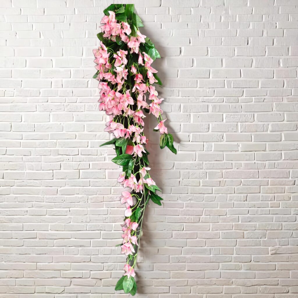 Bougainville Long Hanging.. 2.2ft