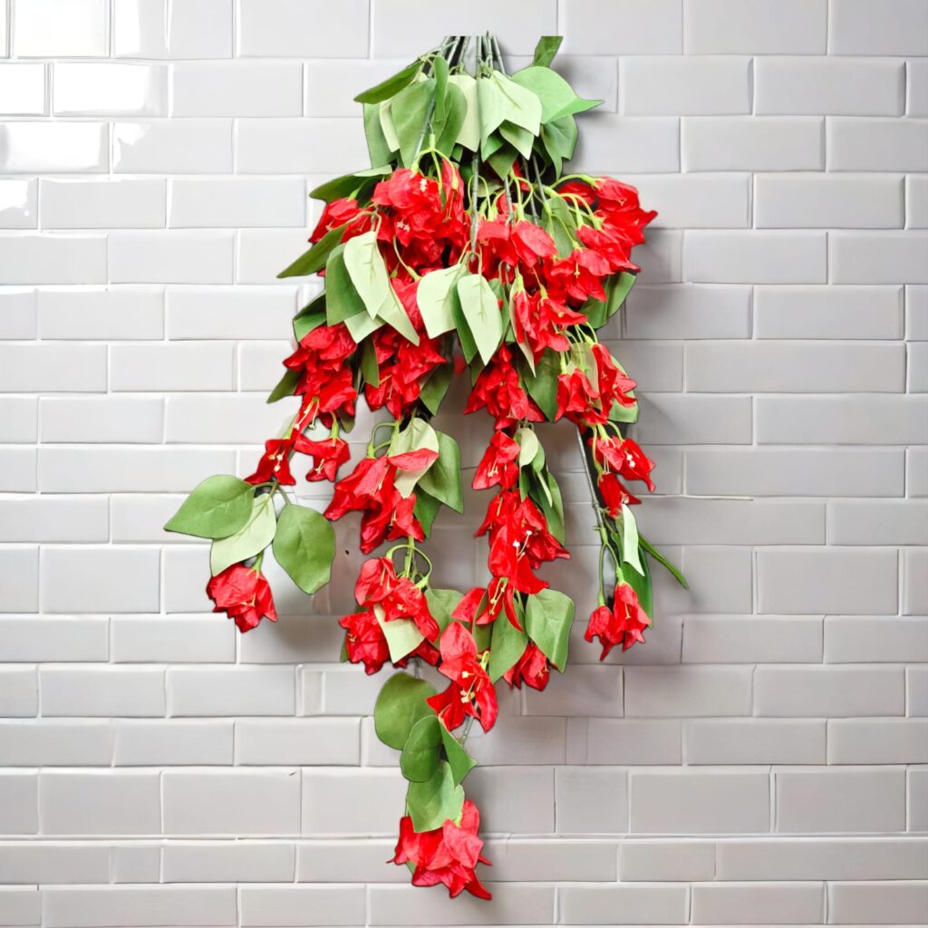 Bougainville Small Hanging.. 1.2ft