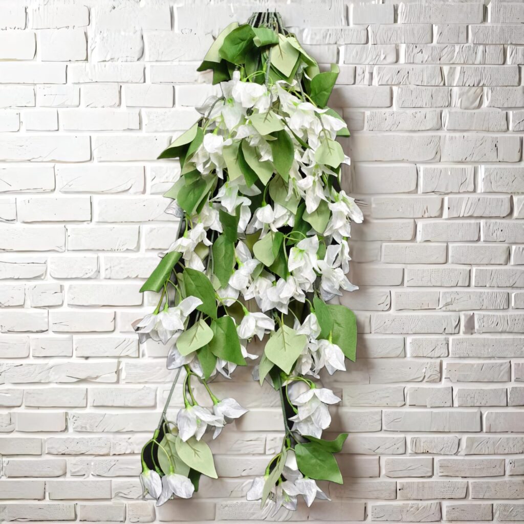 Bougainville Small Hanging.. 1.2ft