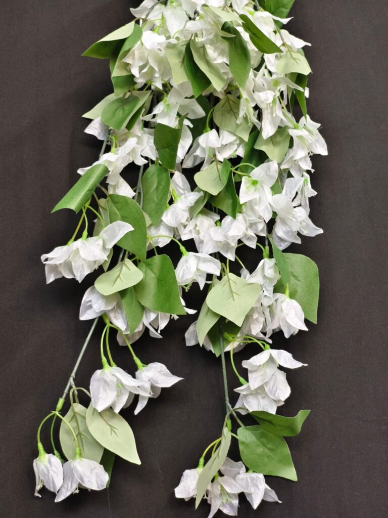 Bougainville Small Hanging.. 1.2ft