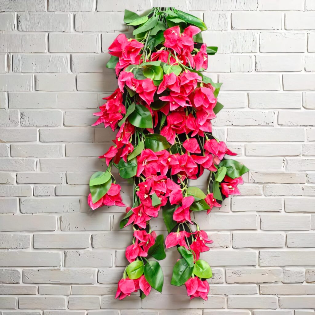 Bougainville Small Hanging.. 1.2ft