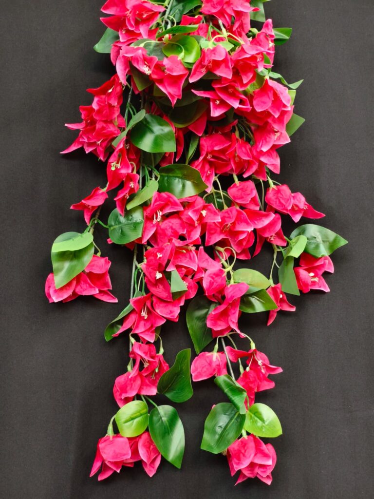 Bougainville Small Hanging.. 1.2ft