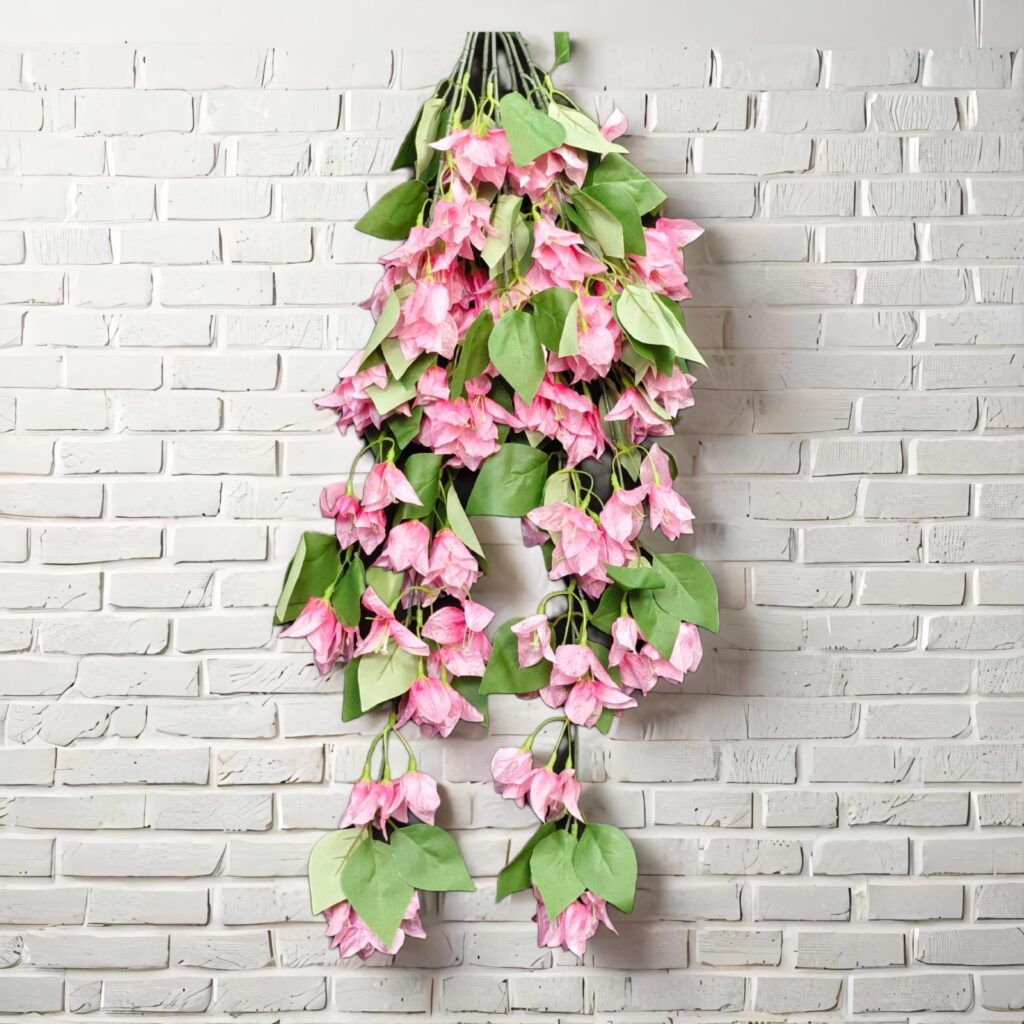 Bougainville Small Hanging.. 1.2ft