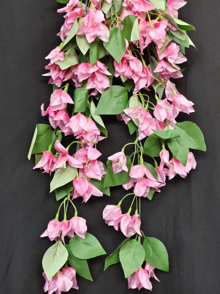 Bougainville Small Hanging.. 1.2ft