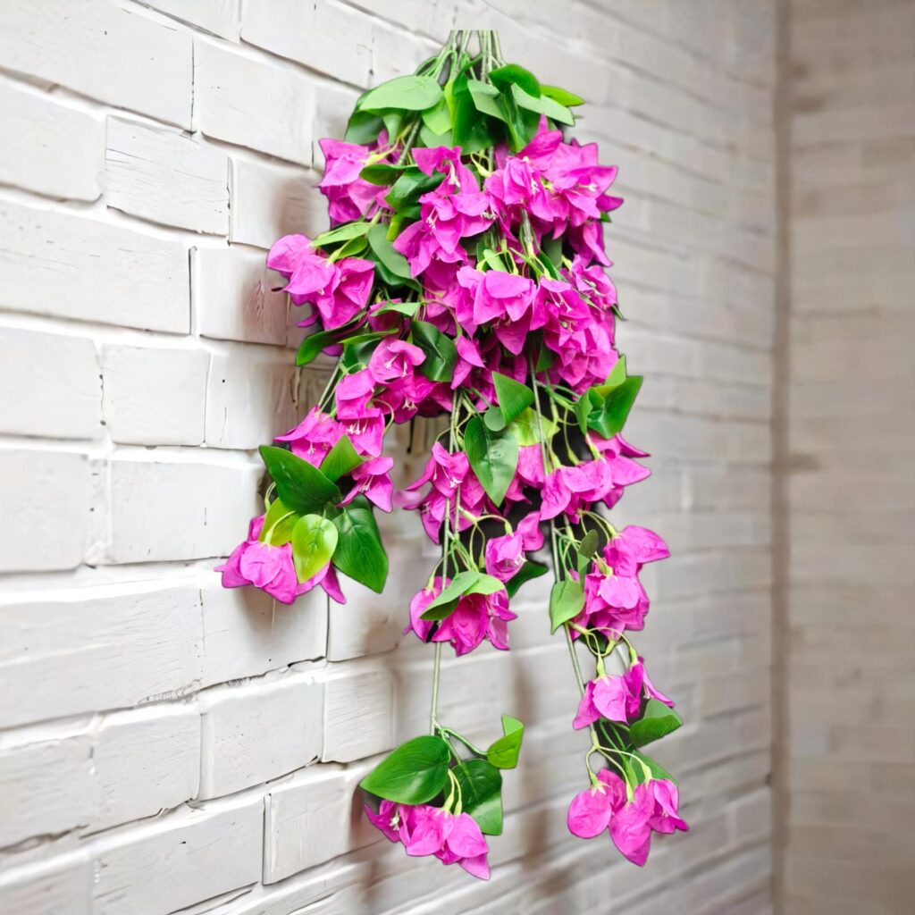 Bougainville Small Hanging.. 1.2ft