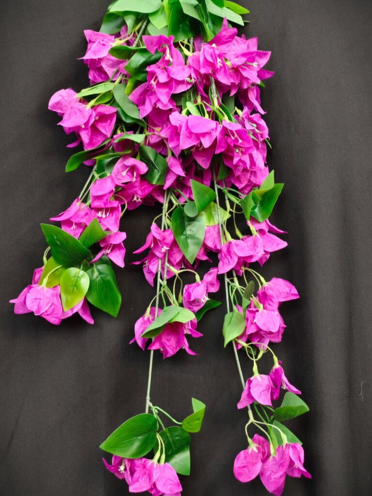 Bougainville Small Hanging.. 1.2ft