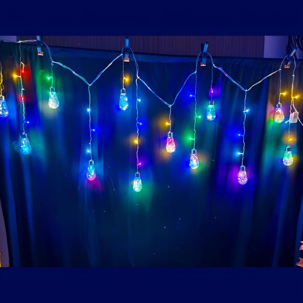 Bulb Light ..Set of12 Big Bulbs with Multicolour Lights